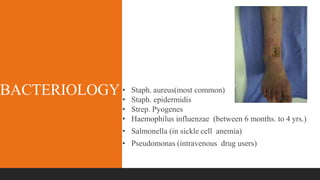 BACTERIOLOGY• Staph. aureus(most common)
• Staph. epidermidis
• Strep. Pyogenes
• Haemophilus influenzae (between 6 months. to 4 yrs.)
• Salmonella (in sickle cell anemia)
• Pseudomonas (intravenous drug users)
 