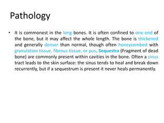 Pathology
• It is commonest in the long bones. It is often confined to one end of
the bone, but it may affect the whole length. The bone is thickened
and generally denser than normal, though often honeycombed with
granulation tissue, fibrous tissue, or pus. Sequestra (Fragment of dead
bone) are commonly present within cavities in the bone. Often a sinus
tract leads to the skin surface: the sinus tends to heal and break down
recurrently, but if a sequestrum is present it never heals permanently.
 