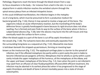 Pathology. Organisms reach the bone through the blood stream from a sep-
tic focus elsewhere in the body – for instance from a boil in the skin. In a rare
atypical form in adults infection reaches the vertebral column through the
spinal venous plexus from an infected intrapelvic lesion.
In the usual childhood manifestation, the infection begins in the metaphy-
sis of a long bone, which must be presumed to form a productive medium for
bacterial growth (Fig. 7.1A); thence it may spread to involve a large part of the bone. The
organisms induce an acute inflammatory reaction, but the marshalling of the body’s
defensive forces is greatly handicapped in bone because its rigid structure does not allow
swelling. Pus is formed and soon finds its way to the surface of the bone where it forms a
subperiosteal abscess (Fig. 7.1B); later the abscess may burst into the soft tissues and may
eventually reach the surface to form a sinus.
Often the blood supply to a part of the bone is cut off by septic thrombosis of
the vessels (Fig. 7.1B). The ischaemic bone dies and eventually separates from
the surrounding living bone as a sequestrum (Fig. 7.1C). Meanwhile new bone
is laid down beneath the stripped-up periosteum, forming an investing layer
known as the involucrum (Fig. 7.1C). The epiphysial cartilage plate is a barrier to the spread of
infection, but if the affected metaphysis lies partly within a joint cavity the joint is liable to
become infected (acute pyogenic arthritis). Metaphyses that lie wholly or partly within a joint
cavity include the upper metaphysis of the humerus, all the metaphyses at the elbow, and
the upper and lower metaphyses of the femur (Fig. 7.2). Even when the joint is not infected it
may swell from an effusion of clear fluid(sympathetic effusion).With efficient treatment, the
infection may be aborted in its earliest phase.But when it has progressed to the stage of
septic thrombosis and death of bone it almost inevitably passes into a state of chronic
osteomyelitis.
 