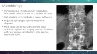 Microbiology
• Hematogenous Mycobacterium tuberculosis
infection of bone accounts for 1 in 50 of all cases
• Half affecting vertebral bodies, mainly in thoracic
• Required bone biopsy for confirmation of
diagnosis
• Most cases can be treated with multi-drug
antibiotic regimen and surgery reserved for those
with neurological complications or to provide
stability to spine
 