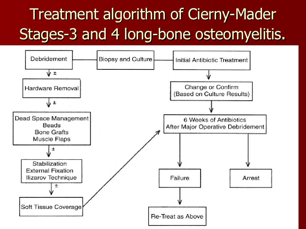 Osteomyelitis In Adults