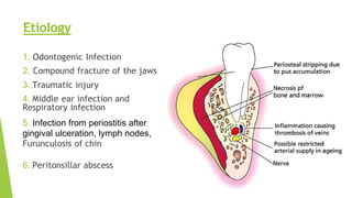 1. Odontogenic Infection
2. Compound fracture of the jaws
3. Traumatic injury
4. Middle ear infection and
Respiratory infection
5. Infection from periostitis after
gingival ulceration, lymph nodes,
Furunculosis of chin
6. Peritonsillar abscess
Etiology
 