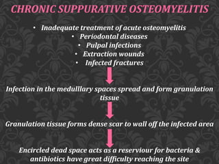 CHRONIC SUPPURATIVE OSTEOMYELITIS
• Inadequate treatment of acute osteomyelitis
• Periodontal diseases
• Pulpal infections
• Extraction wounds
• Infected fractures
Infection in the medulllary spaces spread and form granulation
tissue
Granulation tissue forms dense scar to wall off the infected area
Encircled dead space acts as a reserviour for bacteria &
antibiotics have great difficulty reaching the site
 
