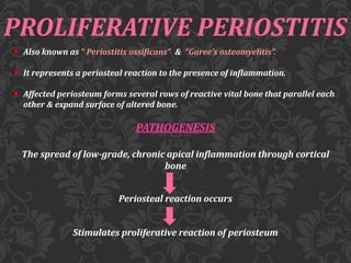 PROLIFERATIVE PERIOSTITIS
Also known as “ Periostitis ossificans” & “Garee’s osteomyelitis”.
It represents a periosteal reaction to the presence of inflammation.
Affected periosteum forms several rows of reactive vital bone that parallel each
other & expand surface of altered bone.
PATHOGENESIS
The spread of low-grade, chronic apical inflammation through cortical
bone
Periosteal reaction occurs
Stimulates proliferative reaction of periosteum
 