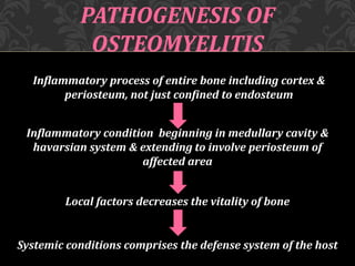 PATHOGENESIS OF
OSTEOMYELITIS
Inflammatory process of entire bone including cortex &
periosteum, not just confined to endosteum
Inflammatory condition beginning in medullary cavity &
havarsian system & extending to involve periosteum of
affected area
Local factors decreases the vitality of bone
Systemic conditions comprises the defense system of the host
 