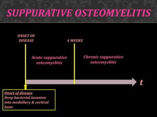 ONSET OF
DISEASE 4 WEEKS
Acute suppurative
osteomyelitis
Chronic suppurative
osteomyelitis
t
Onset of disease
Deep bacterial invasion
into medullary & cortical
bone
SUPPURATIVE OSTEOMYELITIS
 