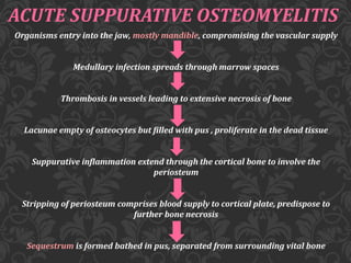 ACUTE SUPPURATIVE OSTEOMYELITIS
Organisms entry into the jaw, mostly mandible, compromising the vascular supply
Medullary infection spreads through marrow spaces
Thrombosis in vessels leading to extensive necrosis of bone
Lacunae empty of osteocytes but filled with pus , proliferate in the dead tissue
Suppurative inflammation extend through the cortical bone to involve the
periosteum
Stripping of periosteum comprises blood supply to cortical plate, predispose to
further bone necrosis
Sequestrum is formed bathed in pus, separated from surrounding vital bone
 