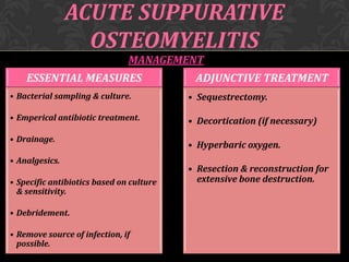 ACUTE SUPPURATIVE
OSTEOMYELITIS
MANAGEMENT

ESSENTIAL MEASURES

ADJUNCTIVE TREATMENT

• Bacterial sampling & culture.

• Sequestrectomy.

• Emperical antibiotic treatment.

• Decortication (if necessary)

• Drainage.
• Analgesics.
• Specific antibiotics based on culture
& sensitivity.
• Debridement.
• Remove source of infection, if
possible.

• Hyperbaric oxygen.

• Resection & reconstruction for
extensive bone destruction.

 