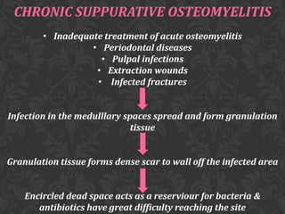 CHRONIC SUPPURATIVE OSTEOMYELITIS
• Inadequate treatment of acute osteomyelitis
• Periodontal diseases
• Pulpal infections
• Extraction wounds
• Infected fractures
Infection in the medulllary spaces spread and form granulation
tissue
Granulation tissue forms dense scar to wall off the infected area
Encircled dead space acts as a reserviour for bacteria &
antibiotics have great difficulty reaching the site

 
