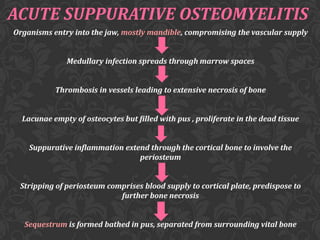 ACUTE SUPPURATIVE OSTEOMYELITIS
Organisms entry into the jaw, mostly mandible, compromising the vascular supply
Medullary infection spreads through marrow spaces

Thrombosis in vessels leading to extensive necrosis of bone
Lacunae empty of osteocytes but filled with pus , proliferate in the dead tissue
Suppurative inflammation extend through the cortical bone to involve the
periosteum
Stripping of periosteum comprises blood supply to cortical plate, predispose to
further bone necrosis
Sequestrum is formed bathed in pus, separated from surrounding vital bone

 