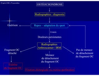 OSTÉOCHONDROSE
Radiographies : diagnostic
D’après EMC, P Lascombes
Douleurs persistantes
Guérison Repos – adaptation du sport
6 mois
Douleurs persistantes
Radiographies
Arthroscanner / IRM
Pas de menace
de détachement
du fragment OC
Fragment OC
détaché
Exérèse
du fragment OC
Menace
de détachement
du fragment OC
Fixation chirurgicale ou exérèse-perforation
 