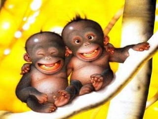 Osteo osteomalacia ricket2