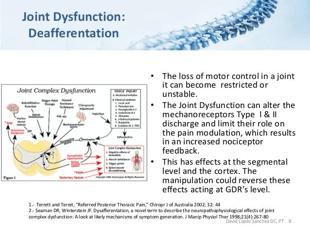 Spinal Osteopathic Manipulative Therapy (OMTh) Revisited by Manual T…