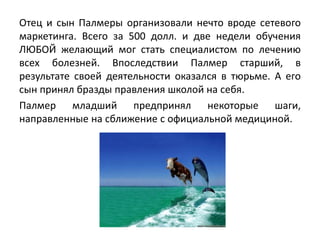 Отец и сын Палмеры организовали нечто вроде сетевого
маркетинга. Всего за 500 долл. и две недели обучения
ЛЮБОЙ желающий мог стать специалистом по лечению
всех болезней. Впоследствии Палмер старший, в
результате своей деятельности оказался в тюрьме. А его
сын принял бразды правления школой на себя.
Палмер младший предпринял некоторые шаги,
направленные на сближение с официальной медициной.
 