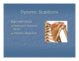 Osteopatia do ombro | PDF