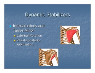 Osteopatia do ombro | PDF