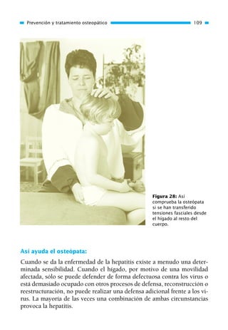 Así ayuda el osteópata:
Cuando se da la enfermedad de la hepatitis existe a menudo una deter-
minada sensibilidad. Cuando el hígado, por motivo de una movilidad
afectada, sólo se puede defender de forma defectuosa contra los virus o
está demasiado ocupado con otros procesos de defensa, reconstrucción o
reestructuración, no puede realizar una defensa adicional frente a los vi-
rus. La mayoría de las veces una combinación de ambas circunstancias
provoca la hepatitis.
Prevención y tratamiento osteopático 109
Figura 28: Así
comprueba la osteópata
si se han transferido
tensiones fasciales desde
el hígado al resto del
cuerpo.
01 Osteopatía pp. 001-169 26/5/03 11:12 Página 109
 