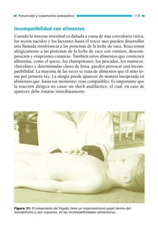 Incompatibilidad con alimentos
Cuando la mucosa intestinal es dañada a causa de una convulsión vírica,
los recién nacidos y los lactantes hasta el tercer mes pueden desarrollar
una llamada intolerancia a las proteínas de la leche de vaca. Reaccionan
alérgicamente a las proteínas de la leche de vaca con vómitos, descom-
posición y erupciones cutáneas. También otros alimentos que contienen
albúmina, como el queso, los champiñones, los pescados, los mariscos,
chocolates y determinadas clases de fruta, pueden provocar una incom-
patibilidad. La mayoría de las veces se trata de alimentos que el niño to-
ma por primera vez. La alergia puede aparecer de manera inesperada en
alimentos que, hasta ese momento, eran compatibles. Es importante que
la reacción alérgica no cause un shock anafiláctico, el cual, en caso de
aparecer, debe tratarse inmediatamente.
Prevención y tratamiento osteopático 119
Figura 31: El tratamiento del hígado tiene un importantísimo papel dentro del
metabolismo y, por supuesto, en las incompatibilidades alimentarias.
01 Osteopatía pp. 001-169 26/5/03 11:12 Página 119
 