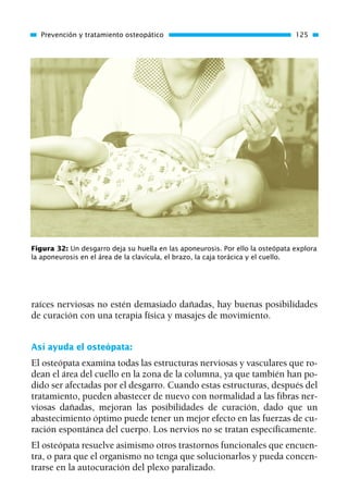 raíces nerviosas no estén demasiado dañadas, hay buenas posibilidades
de curación con una terapia física y masajes de movimiento.
Así ayuda el osteópata:
El osteópata examina todas las estructuras nerviosas y vasculares que ro-
dean el área del cuello en la zona de la columna, ya que también han po-
dido ser afectadas por el desgarro. Cuando estas estructuras, después del
tratamiento, pueden abastecer de nuevo con normalidad a las fibras ner-
viosas dañadas, mejoran las posibilidades de curación, dado que un
abastecimiento óptimo puede tener un mejor efecto en las fuerzas de cu-
ración espontánea del cuerpo. Los nervios no se tratan específicamente.
El osteópata resuelve asimismo otros trastornos funcionales que encuen-
tra, o para que el organismo no tenga que solucionarlos y pueda concen-
trarse en la autocuración del plexo paralizado.
Prevención y tratamiento osteopático 125
Figura 32: Un desgarro deja su huella en las aponeurosis. Por ello la osteópata explora
la aponeurosis en el área de la clavícula, el brazo, la caja torácica y el cuello.
01 Osteopatía pp. 001-169 26/5/03 11:12 Página 125
 