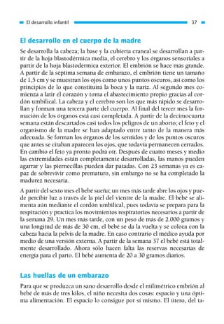 El desarrollo en el cuerpo de la madre
Se desarrolla la cabeza; la base y la cubierta craneal se desarrollan a par-
tir de la hoja blastodérmica media, el cerebro y los órganos sensoriales a
partir de la hoja blastodérmica exterior. El embrión se hace más grande.
A partir de la séptima semana de embarazo, el embrión tiene un tamaño
de 1,5 cm y se muestran los ojos como unos puntos oscuros, así como los
principios de lo que constituirá la boca y la nariz. Al segundo mes co-
mienza a latir el corazón y toma el abastecimiento propio gracias al cor-
dón umbilical. La cabeza y el cerebro son los que más rápido se desarro-
llan y forman una tercera parte del cuerpo. Al final del tercer mes la for-
mación de los órganos está casi completada. A partir de la decimocuarta
semana están descartados casi todos los peligros de un aborto; el feto y el
organismo de la madre se han adaptado entre tanto de la manera más
adecuada. Se forman los órganos de los sentidos y de los puntos oscuros
que antes se citaban aparecen los ojos, que todavía permanecen cerrados.
En cambio el feto ya pronto podrá oír. Después de cuatro meses y medio
las extremidades están completamente desarrolladas, las manos pueden
agarrar y las piernecillas pueden dar patadas. Con 23 semanas ya es ca-
paz de sobrevivir como prematuro, sin embargo no se ha completado la
madurez necesaria.
A partir del sexto mes el bebé sueña; un mes más tarde abre los ojos y pue-
de percibir luz a través de la piel del vientre de la madre. El bebé se ali-
menta aún mediante el cordón umbilical, pues todavía se prepara para la
respiración y practica los movimientos respiratorios necesarios a partir de
la semana 29. Un mes más tarde, con un peso de más de 2.000 gramos y
una longitud de más de 30 cm, el bebé se da la vuelta y se coloca con la
cabeza hacia la pelvis de la madre. En caso contrario el médico ayuda por
medio de una versión externa. A partir de la semana 37 el bebé está total-
mente desarrollado. Ahora sólo hacen falta las reservas necesarias de
energía para el parto. El bebé aumenta de 20 a 30 gramos diarios.
Las huellas de un embarazo
Para que se produzca un sano desarrollo desde el milimétrico embrión al
bebé de más de tres kilos, el niño necesita dos cosas: espacio y una ópti-
ma alimentación. El espacio lo consigue por sí mismo. El útero, del ta-
El desarrollo infantil 37
01 Osteopatía pp. 001-169 26/5/03 11:12 Página 37
 