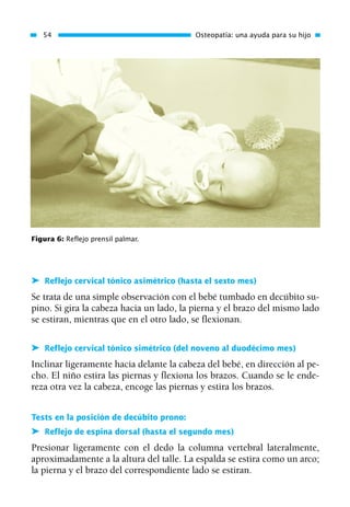 ➤ Reflejo cervical tónico asimétrico (hasta el sexto mes)
Se trata de una simple observación con el bebé tumbado en decúbito su-
pino. Si gira la cabeza hacia un lado, la pierna y el brazo del mismo lado
se estiran, mientras que en el otro lado, se flexionan.
➤ Reflejo cervical tónico simétrico (del noveno al duodécimo mes)
Inclinar ligeramente hacia delante la cabeza del bebé, en dirección al pe-
cho. El niño estira las piernas y flexiona los brazos. Cuando se le ende-
reza otra vez la cabeza, encoge las piernas y estira los brazos.
Tests en la posición de decúbito prono:
➤ Reflejo de espina dorsal (hasta el segundo mes)
Presionar ligeramente con el dedo la columna vertebral lateralmente,
aproximadamente a la altura del talle. La espalda se estira como un arco;
la pierna y el brazo del correspondiente lado se estiran.
54 Osteopatía: una ayuda para su hijo
Figura 6: Reflejo prensil palmar.
01 Osteopatía pp. 001-169 26/5/03 11:12 Página 54
 