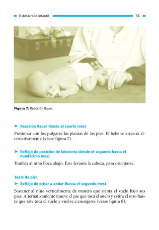 ➤ Reacción Bauer (hasta el cuarto mes)
Presionar con los pulgares las plantas de los pies. El bebé se arrastra al-
ternativamente (véase figura 7).
➤ Reflejo de posición de laberinto (desde el segundo hasta el
duodécimo mes)
Tumbar al niño boca abajo. Éste levanta la cabeza, para orientarse.
Tests de pie:
➤ Reflejo de echar a andar (hasta el segundo mes)
Sostener al niño verticalmente de manera que sienta el suelo bajo sus
pies. Alternativamente mueve el pie que toca el suelo y estira el otro has-
ta que éste toca el suelo y vuelve a encogerse (véase figura 8).
El desarrollo infantil 55
Figura 7: Reacción Bauer.
01 Osteopatía pp. 001-169 26/5/03 11:12 Página 55
 