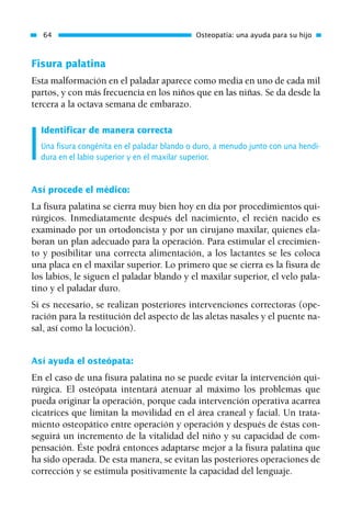 Fisura palatina
Esta malformación en el paladar aparece como media en uno de cada mil
partos, y con más frecuencia en los niños que en las niñas. Se da desde la
tercera a la octava semana de embarazo.
Identificar de manera correcta
Una fisura congénita en el paladar blando o duro, a menudo junto con una hendi-
dura en el labio superior y en el maxilar superior.
Así procede el médico:
La fisura palatina se cierra muy bien hoy en día por procedimientos qui-
rúrgicos. Inmediatamente después del nacimiento, el recién nacido es
examinado por un ortodoncista y por un cirujano maxilar, quienes ela-
boran un plan adecuado para la operación. Para estimular el crecimien-
to y posibilitar una correcta alimentación, a los lactantes se les coloca
una placa en el maxilar superior. Lo primero que se cierra es la fisura de
los labios, le siguen el paladar blando y el maxilar superior, el velo pala-
tino y el paladar duro.
Si es necesario, se realizan posteriores intervenciones correctoras (ope-
ración para la restitución del aspecto de las aletas nasales y el puente na-
sal, así como la locución).
Así ayuda el osteópata:
En el caso de una fisura palatina no se puede evitar la intervención qui-
rúrgica. El osteópata intentará atenuar al máximo los problemas que
pueda originar la operación, porque cada intervención operativa acarrea
cicatrices que limitan la movilidad en el área craneal y facial. Un trata-
miento osteopático entre operación y operación y después de éstas con-
seguirá un incremento de la vitalidad del niño y su capacidad de com-
pensación. Éste podrá entonces adaptarse mejor a la fisura palatina que
ha sido operada. De esta manera, se evitan las posteriores operaciones de
corrección y se estimula positivamente la capacidad del lenguaje.
64 Osteopatía: una ayuda para su hijo
01 Osteopatía pp. 001-169 26/5/03 11:12 Página 64
 