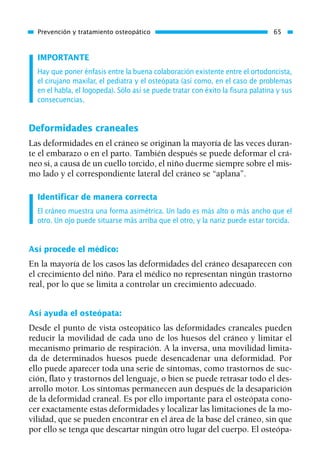 IMPORTANTE
Hay que poner énfasis entre la buena colaboración existente entre el ortodoncista,
el cirujano maxilar, el pediatra y el osteópata (así como, en el caso de problemas
en el habla, el logopeda). Sólo así se puede tratar con éxito la fisura palatina y sus
consecuencias.
Deformidades craneales
Las deformidades en el cráneo se originan la mayoría de las veces duran-
te el embarazo o en el parto. También después se puede deformar el crá-
neo si, a causa de un cuello torcido, el niño duerme siempre sobre el mis-
mo lado y el correspondiente lateral del cráneo se “aplana”.
Identificar de manera correcta
El cráneo muestra una forma asimétrica. Un lado es más alto o más ancho que el
otro. Un ojo puede situarse más arriba que el otro, y la nariz puede estar torcida.
Así procede el médico:
En la mayoría de los casos las deformidades del cráneo desaparecen con
el crecimiento del niño. Para el médico no representan ningún trastorno
real, por lo que se limita a controlar un crecimiento adecuado.
Así ayuda el osteópata:
Desde el punto de vista osteopático las deformidades craneales pueden
reducir la movilidad de cada uno de los huesos del cráneo y limitar el
mecanismo primario de respiración. A la inversa, una movilidad limita-
da de determinados huesos puede desencadenar una deformidad. Por
ello puede aparecer toda una serie de síntomas, como trastornos de suc-
ción, flato y trastornos del lenguaje, o bien se puede retrasar todo el des-
arrollo motor. Los síntomas permanecen aun después de la desaparición
de la deformidad craneal. Es por ello importante para el osteópata cono-
cer exactamente estas deformidades y localizar las limitaciones de la mo-
vilidad, que se pueden encontrar en el área de la base del cráneo, sin que
por ello se tenga que descartar ningún otro lugar del cuerpo. El osteópa-
Prevención y tratamiento osteopático 65
01 Osteopatía pp. 001-169 26/5/03 11:12 Página 65
 
