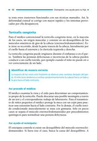 ta trata estos trastornos funcionales con sus técnicas manuales. Así, la
deformidad craneal se corrige con mayor rapidez y los síntomas provo-
cados por ella desaparecen.
Tortícolis congénita
Para el médico convencional la tortícolis congénita tiene, en la mayoría
de los casos, un origen muscular, y consiste en un desequilibrio de los
músculos simétricos de giro de la cabeza (esternocleidomastoideos). És-
te tiene su recorrido, desde la parte trasera de la cabeza, lateralmente por
el cuello hasta el esternón y la clavícula izquierda y derecha.
La tortícolis congénita puede originarse durante el embarazo o en el par-
to. También las posturas defectuosas o incorrectas de la cabeza pueden
conducir a un cuello torcido, por ejemplo cuando el niño no puede oír o
ver correctamente de un lado.
Identificar de manera correcta
La mayoría de las veces este trastorno se observa unas semanas después del par-
to. El niño tiene tendencia a inclinar predominantemente la cabeza hacia un lado y
la gira hacia el lado contrario.
Así procede el médico:
El médico examina la vista y el oído para determinar un comportamien-
to propio de la tortícolis. Puede descartar una posible meningitis a través
de un test y el correspondiente trabajo de laboratorio. Para el tratamien-
to de niños pequeños el médico protege la nuca con un cojín para prac-
ticar una extensión hacia el lado contrario. Por lo demás, el cuello torci-
do condicionado muscularmente se trata con gimnasia. Sólo en pocos
casos se separa el músculo esternocleidomastoideo por procedimientos
quirúrgicos para normalizar una postura defectuosa.
Así ayuda el osteópata:
El osteópata controla si existe un desequilibrio del músculo esternoclei-
domastoideo. Si fuera éste el caso, busca la causa del desequilibrio. A
66 Osteopatía: una ayuda para su hijo
01 Osteopatía pp. 001-169 26/5/03 11:12 Página 66
 