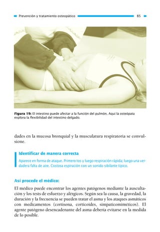 dades en la mucosa bronquial y la musculatura respiratoria se convul-
sione.
Identificar de manera correcta
Aparece en forma de ataque. Primero tos y luego respiración rápida; luego una ver-
dadera falta de aire. Costosa espiración con un sonido sibilante típico.
Así procede el médico:
El médico puede encontrar los agentes patógenos mediante la ausculta-
ción y los tests de esfuerzo y alérgicos. Según sea la causa, la gravedad, la
duración y la frecuencia se pueden tratar el asma y los ataques asmáticos
con medicamentos (cortisona, corticoides, simpaticomiméticos). El
agente patógeno desencadenante del asma debería evitarse en la medida
de lo posible.
Prevención y tratamiento osteopático 85
Figura 19: El intestino puede afectar a la función del pulmón. Aquí la osteópata
explora la flexibilidad del intestino delgado.
01 Osteopatía pp. 001-169 26/5/03 11:12 Página 85
 