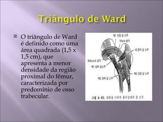    O triângulo de Ward
    é definido como uma
    área quadrada (1,5 x
    1,5 cm), que
    apresenta a menor
    densidade da região
    proximal do fêmur,
    caracterizada por
    predomínio de osso
    trabecular.
 