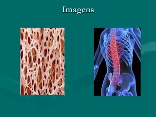Imagens