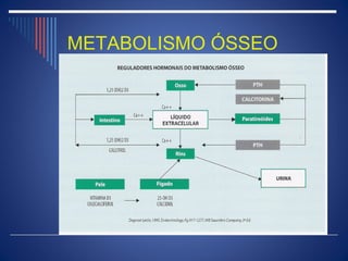 METABOLISMO ÓSSEO
 