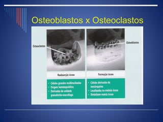 Osteoblastos x Osteoclastos
 