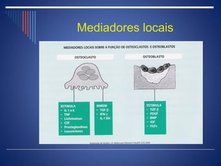 Mediadores locais
 