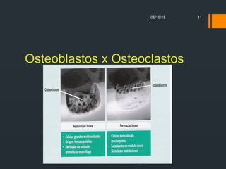 Osteoblastos x Osteoclastos
05/19/15 11
 