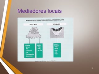 12
Mediadores locais
 
