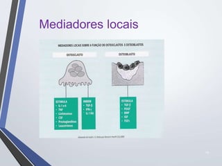 15
Mediadores locais
 