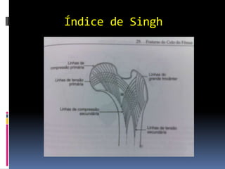 DiagnósticoHistória clínicaExame físicoAvaliação laboratorialQuadro radiográficoRX