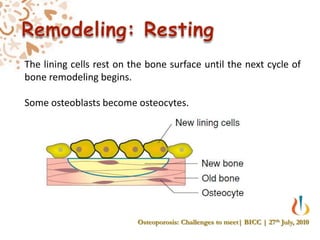 Management principle