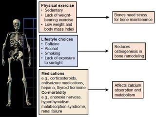 fractures of the proximal humerus, proximal tibia, femoral neck, and pelvis