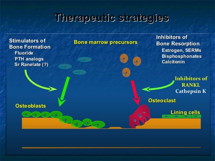 Horizon trial osteoporosis