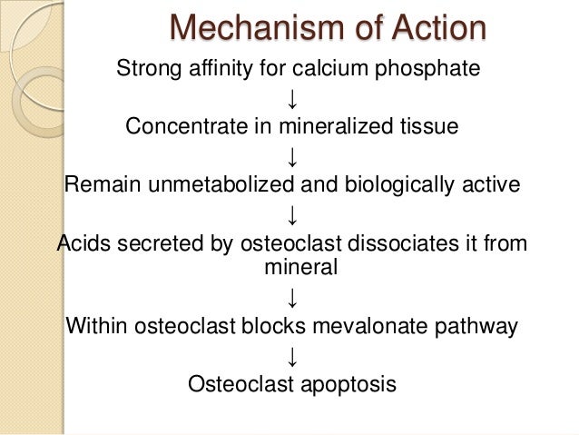 alendronate-mechanism-of-action-pheun