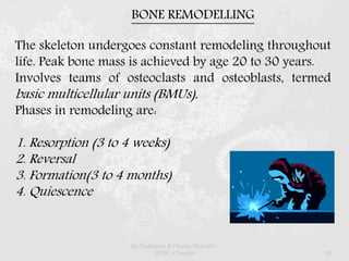 The skeleton undergoes constant remodeling throughout
life. Peak bone mass is achieved by age 20 to 30 years.
Involves teams of osteoclasts and osteoblasts, termed
basic multicellular units (BMUs),
Phases in remodeling are:
1. Resorption (3 to 4 weeks)
2. Reversal
3. Formation(3 to 4 months)
4. Quiescence
BONE REMODELLING
Dr.Prabhakar B.Pharm, PharmD -
SRMC, Chennai 10
 