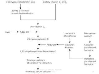 Dr.Prabhakar B.Pharm, PharmD -
SRMC, Chennai 13
 
