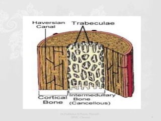 Dr.Prabhakar B.Pharm, PharmD -
SRMC, Chennai 9
 