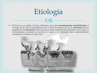
 El hueso es un tejido viviente, dinámico, que está constantemente remodelándose a
lo largo de la vida. El remodelado óseo ocurre de manera tal que la resorción ósea es
seguida por la formación. Estos procesos están íntimamente acoplados, por lo que en
circunstancias normales la resorción es igual a la formación ósea, manteniéndose
constante el volumen y masa ósea
Etiología
 