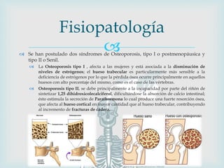  Se han postulado dos síndromes de Osteoporosis, tipo I o postmenopáusica y
tipo II o Senil.
 La Osteoporosis tipo I , afecta a las mujeres y está asociada a la disminución de
niveles de estrógenos; el hueso trabecular es particularmente más sensible a la
deficiencia de estrógenos por lo que la pérdida ósea ocurre principalmente en aquellos
huesos con alto porcentaje del mismo, como es el caso de las vértebras.
 Osteoporosis tipo II, se debe principalmente a la incapacidad por parte del riñón de
sintetizar 1,25 dihidroxicolecalciferol, dificultándose la absorción de calcio intestinal;
ésto estimula la secreción de Parathormona lo cual produce una fuerte resorción ósea,
que afecta al hueso cortical en mayor cantidad que al hueso trabecular, contribuyendo
al incremento de fracturas de cadera.
Fisiopatología
 