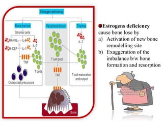 Estrogens deficiency 
cause bone lose by 
a) Activation of new bone 
remodelling site 
b) Exaggeration of the 
imbalance b/w bone 
formation and resorption 
13 
 
