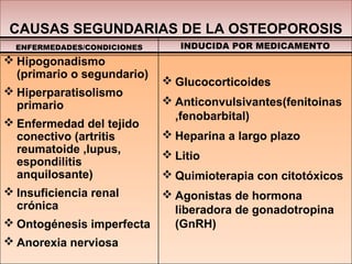 CAUSAS SEGUNDARIAS DE LA OSTEOPOROSIS
ENFERMEDADES/CONDICIONES
 Hipogonadismo
(primario o segundario)
 Hiperparatisolismo
primario
 Enfermedad del tejido
conectivo (artritis
reumatoide ,lupus,
espondilitis
anquilosante)
 Insuficiencia renal
crónica
 Ontogénesis imperfecta
 Anorexia nerviosa
INDUCIDA POR MEDICAMENTO
 Glucocorticoides
 Anticonvulsivantes(fenitoinas
,fenobarbital)
 Heparina a largo plazo
 Litio
 Quimioterapia con citotóxicos
 Agonistas de hormona
liberadora de gonadotropina
(GnRH)
 